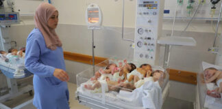 Ghaza: La dernière unité de soins intensifs néonatals du nord hors service