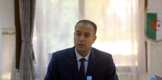 Après sa nomination en tant que ministre des sports: Walid Sadi va-t-il quitter la FAF ?