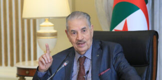 Déclaration du 1er Novembre: «Une feuille de route pour une Algérie indépendante et prospère», affirme Goudjil