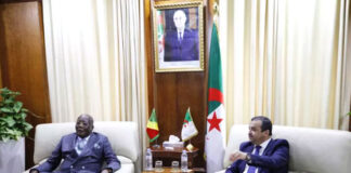 Algérie-Congo: Les opportunités de coopération dans le secteur minier passées en revue