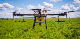 Agriculture saharienne: 40 participants au concours d’innovation de l’ENSA