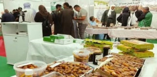 Salon international des dattes: Une diversité de variétés au cœur du terroir algérien