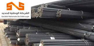 Industrie: Le groupe IMETAL rebaptisé Société nationale de Sidérurgie