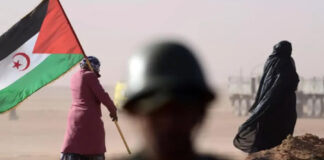 Premier ministre sahraoui: La conférence de l’EUCOCO confirme l’élargissement du mouvement de solidarité internationale avec le peuple sahraoui