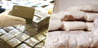 Oran: Démantèlement d’un réseau de trafic de drogues dures et saisie de plus de 1 kg de cocaïne