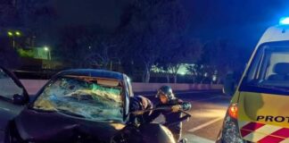 Accidents de la route: 6 morts et 163 blessé durant les dernières 24h