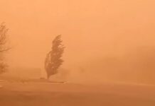 Vents forts et tempêtes de sable dans plusieurs wilayas du Sud