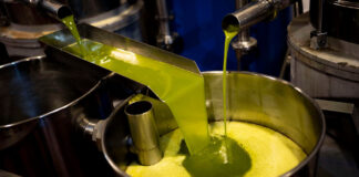 Bejaia: Une production de plus 13 millions de litres d’huile d’olive attendue