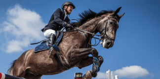 Equitation – Concours national de saut d’obstacles: Le cavalier Menidjel Abderrahmane remporte le trophée fédéral
