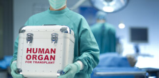 Les organes greffés peuvent-ils transmettre des souvenirs ? La science s’interroge
