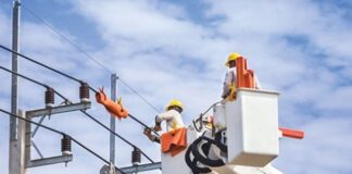 Illizi: Plus d’une centaine d’exploitations agricoles raccordées au réseau d’électricité depuis mars 2022