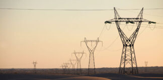 Ouargla: 780 exploitations agricoles raccordées au réseau d’électricité