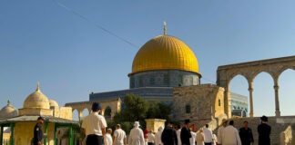 Palestine: Des dizaines de colons sionistes prennent d’assaut l’esplanade de la mosquée Al-Aqsa