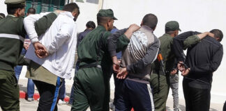 Tébessa: 73 moutons récupérés et 5 individus arrêtés