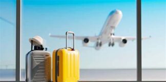 Allergies alimentaires : une étude dévoile les efforts à faire pour les voyages en avion