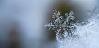 BMS : Des chutes de neige attendues sur les reliefs dépassant les 1100 m d’altitude