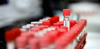 Le groupe sanguin, un indicateur de santé méconnu