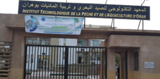 ITPA d’Oran: Formation en aquaculture au profit de 50 détenus à Relizane
