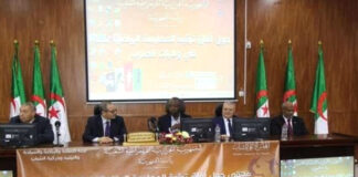 Ouargla: Intenses efforts pour diagnostiquer la situation de la pratique sportive dans le Sud