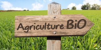 Oran: Les bonnes pratiques de l’agriculture biologique au centre d’une session de formation