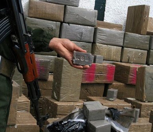 MDN: Mise en échec de tentatives d’introduction de plus de 19 quintaux de kif traité via les frontières avec le Maroc