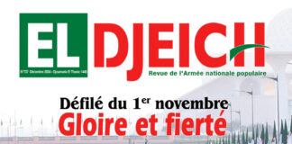 Préservation de la sécurité et de la stabilité du pays: L’ANP, fierté de la patrie, bouclier de la nation