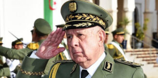 MDN: Chanegriha honore les champions des Jeux militaires africains