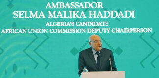 Commission de l’Union africaine (UA): Selma Malika Haddadi candidate au poste de Vice-présidente