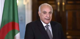 Algérie-Namibie: Attaf loue les relations entre les deux pays