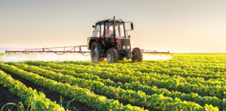 Agriculture: Les directives du Président de la République pour une stratégie intégrée dans le secteur agricole saluées