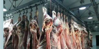 Ramadhan: Programme exceptionnel pour l’importation de viandes rouges et blanches
