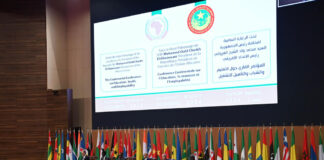 Algérie-Afrique: L’Algérie s’engage à offrir 2 500 bourses aux étudiants africains et ouvrir une banque dédiée à l’éducation en Afrique