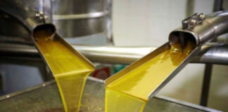 Batna: Une production de plus de 4,3 millions de litres d’huile d’olive attendue