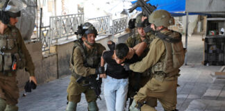 Cisjordanie occupée: Au moins 12 Palestiniens arrêtés en 24 heures par les forces d’occupation sionistes