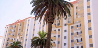 Bechar: Lancement des travaux de réalisation de 450 logements publics locatifs