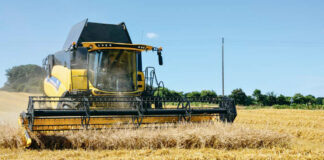 Céréaliculture: Une superficie de 86.000 ha déjà emblavée à Médéa