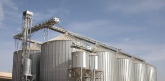 Guelma: Vers le lancement de la réalisation d’un silo géant pour le stockage de céréales