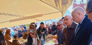 Célébration du Nouvel An Amazigh : la création d’annexes du HCA envisagée