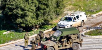 Liban: Des tirs sionistes font un martyr et des blessés dans le sud