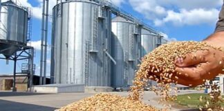 Mostaganem: Un silo de stockage de céréales d’une capacité de 200.000 qx en cours de réalisation