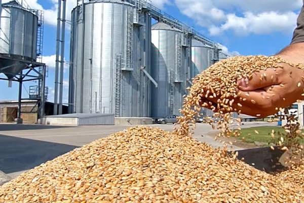 Mostaganem un silo de stockage de céréales