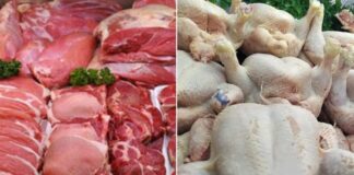 Mostaganem: Une production de plus de 126.000 quintaux de viandes rouges et blanches