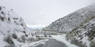 Premiers flocons de neige à Nâama