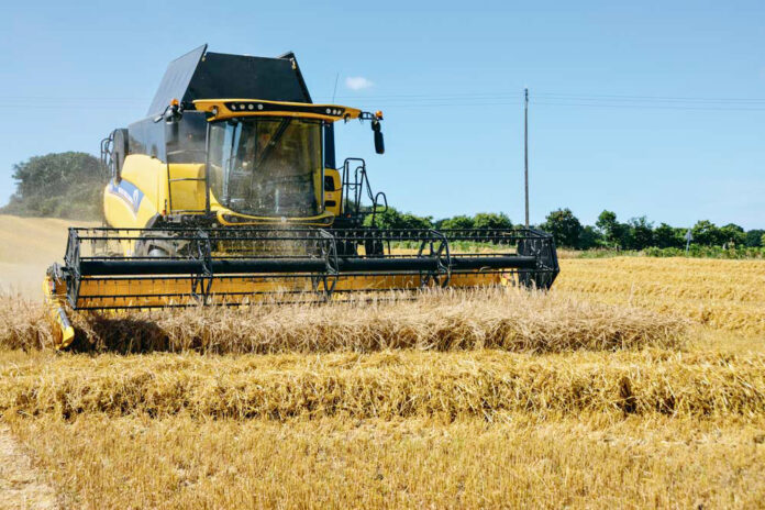 Tizi-Ouzou Près de 2.000 ha consacrés à la production de semences céréalières