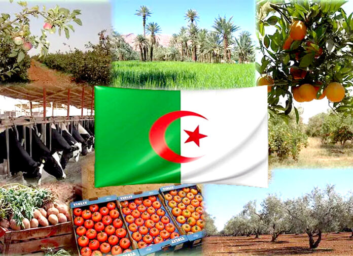 algerie agré