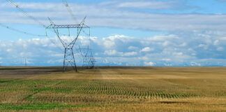 Chlef: Plus de 370 exploitations agricoles raccordées à réseau électrique