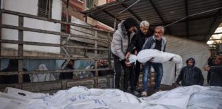 Ghaza : le génocide sioniste a coûté la vie à 708 athlètes palestiniens