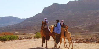 Fête de fin d’année: Illizi, Djanet et Taghit, destinations très prisées par les touristes