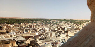 Ouargla: Une trentaine d’exposants à la deuxième édition de la fête du palmier