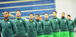 Championnats du monde de handball: Les Verts à leur place !